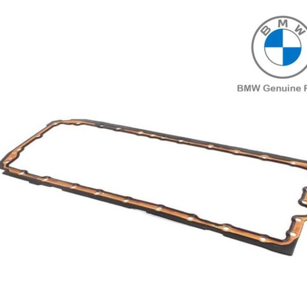 Original BMW E60 E70 X5 E71 X6 Packing Carter N52 N53 N54 11137548031