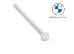 Original BMW Torx Bolt M8X110 M8 x 110 11137800625