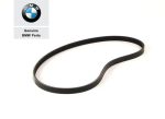 Original BMW E36 318i M43 V Belt Ribbed Tali Kompressor AC 4K X 889