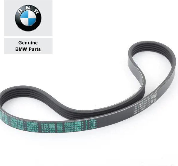 Original BMW E46 M3 Z3M E85 E86 Z4M V Belt Ribbed Fan Belt Tali Kipas 5PKX829 S54 11287830946