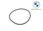 Original BMW O-ring Karet Filter Oli F30 F32 F10 E84 E89 Mesin N20 N26