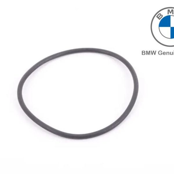 Original BMW O-ring Karet Filter Oli F30 F32 F10 E84 E89 Mesin N20 N26
