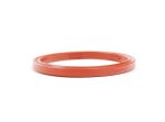 Original BMW Gasket Seal O Ring untuk Oil Level Sensor Oli - Gambar 4