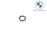 Original BMW E36 E46 318i Z3 M43 Karet O-Ring injector 13641743576