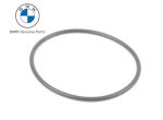 Original BMW F30 G20 F10 G30 F06 Fuel Pump Karet O-Ring 16117188567