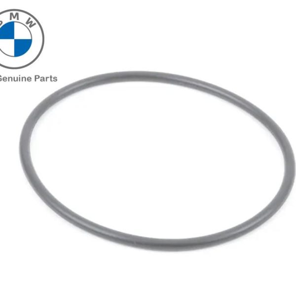 Original BMW F30 G20 F10 G30 F06 Fuel Pump Karet O-Ring 16117188567