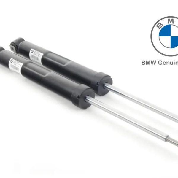 Original BMW E46 M3 CSL Shock Breaker Absorbers BELAKANG SET