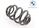 Original BMW E46 Sedan Coupe  Coil Spring Per Keong Belakang