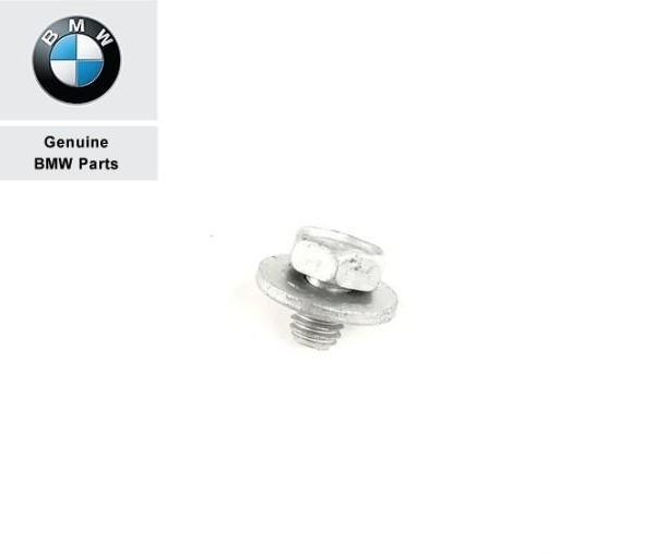 BMW E53 X5 E85 E86 Z4 Baut Plat Rem Cakram Hex Bolt With Washer