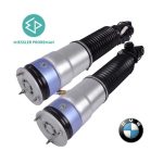 BMW F01 F02 Air Suspension Airsus Belakang SEPASANG Miessler Germany
