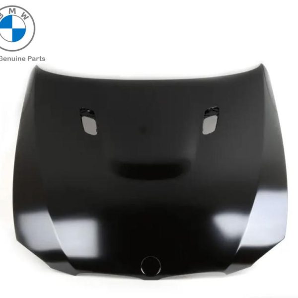 Original BMW E92 E93 M3 Panel Kap Mesin Engine Hood 41618056142