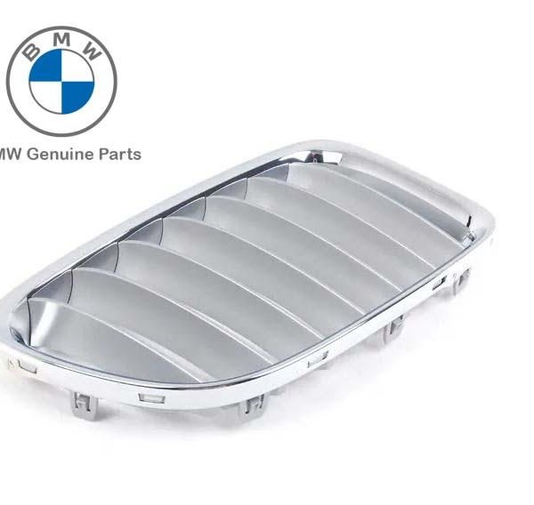 Original BMW E84 X1 X-Line Kidney Grill X Line Gril KIRI