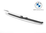 Original BMW F30 Luxury Chrome Trim Grill Bemper KANAN 51117279698