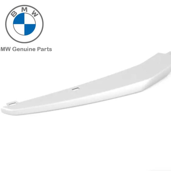 Original BMW F30 Sport Trim Cover Grill Lis Bemper Depan KIRI