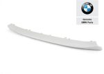 Original BMW E84 X1 LCI Trim Silver Panel Tengah Bemper Depan