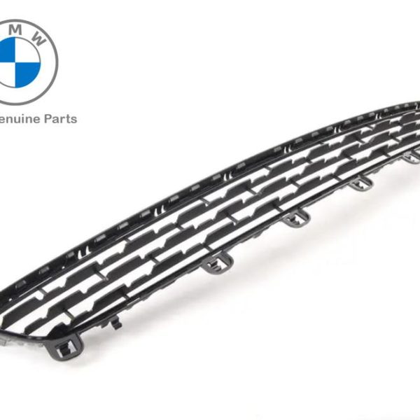 Original BMW F15 X5 Pure Experience Grill Rambang Bemper Depan Tengah