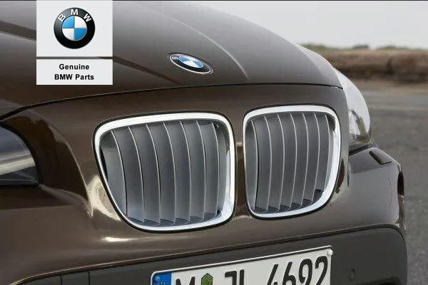 Original BMW E84 X1 X-Line Kidney Grill X Line Gril SET