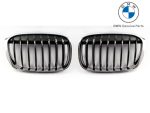 Original BMW F48 X1 M Sport Kidney Grill Gril Radiator Depan SET