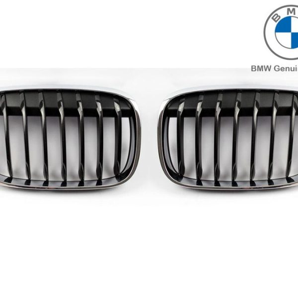 Original BMW F48 X1 M Sport Kidney Grill Gril Radiator Depan SET