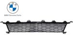 Original BMW G20 G21 M Sport Gril Air Intake Grill Bemper Depan Tengah
