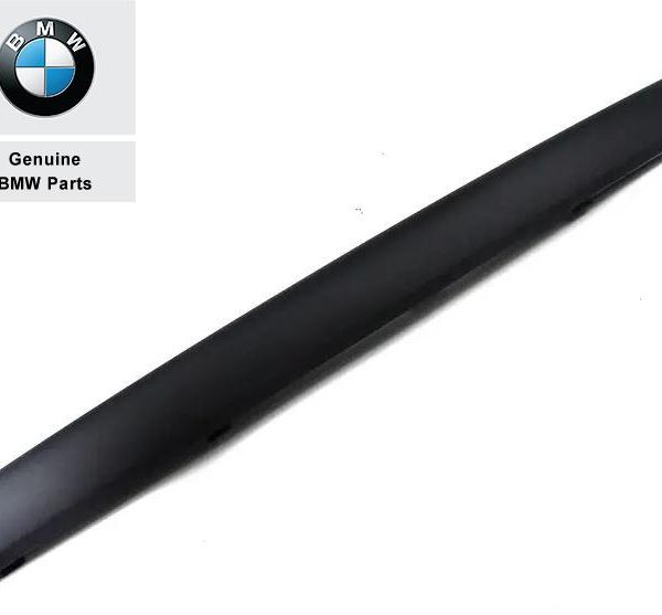 Original BMW E46 M Tech Impact strip Lis Moulding Bemper Depan Tengah