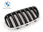 Original BMW E53 X5 LCI Black Slats Kidney Grille Grill Depan KIRI