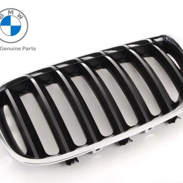 Original BMW E53 X5 LCI Black Slats Kidney Grille Grill Depan KIRI