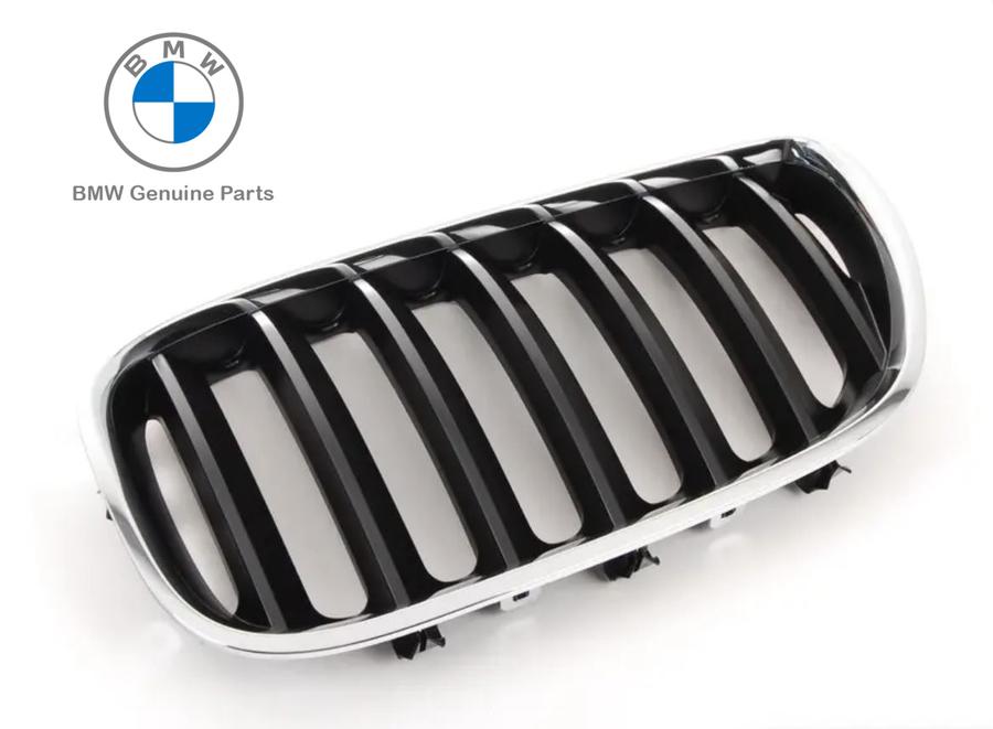 51137113733_A Original BMW E53 X5 LCI Black Slats Kidney Grille Grill Depan KIRI - Image 1
