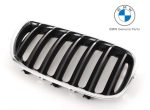 Original BMW E53 X5 LCI Black Slats Kidney Grille Grill Depan KANAN
