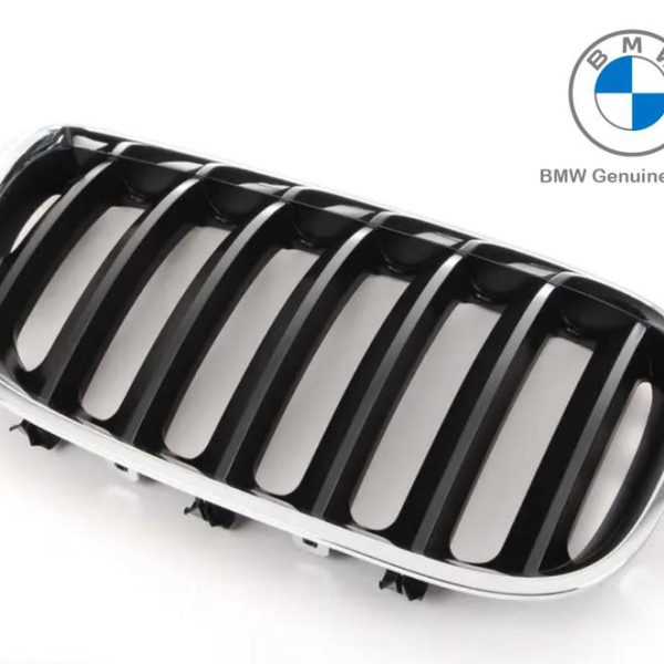 Original BMW E53 X5 LCI Black Slats Kidney Grille Grill Depan KANAN