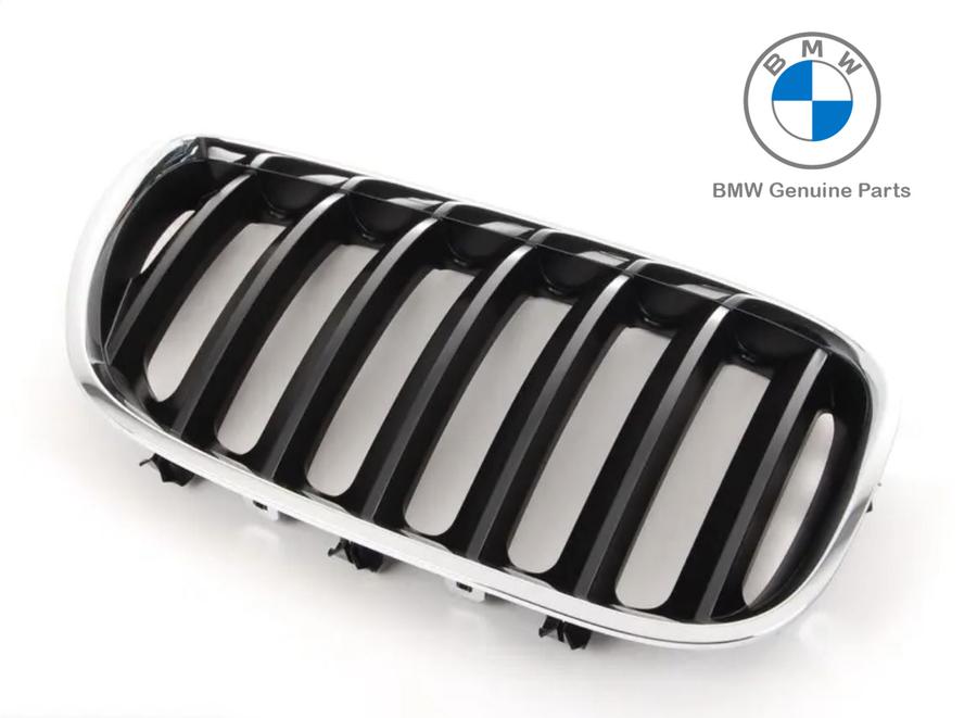 51137113734_A Original BMW E53 X5 LCI Black Slats Kidney Grille Grill Depan KANAN - Image 1