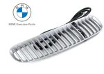 Original BMW E53 X5 Titanium Gril Air Inlet Atas Kap Mesin KANAN