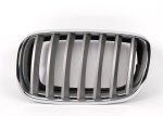 Original BMW Kidney Grill Facelift Titan II X5 E70 X6 E71 KIRI