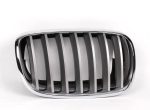 Original BMW Kidney Grill Facelift Titan II X5 E70 X6 E71 KANAN