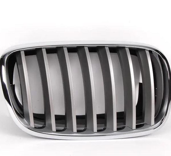 Original BMW Kidney Grill Facelift Titan II X5 E70 X6 E71 KANAN