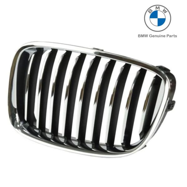Original BMW F07 GT Gril Chrome Kidney Grill Depan KIRI 51137200167