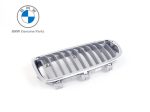 Original BMW F30 Modern Line Grill Chrome Depan KIRI 51137263479