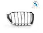 Original BMW F25 X3 F26 X4 X-Line Kidney Grill Gril Chrome Depan KANAN 51137367422