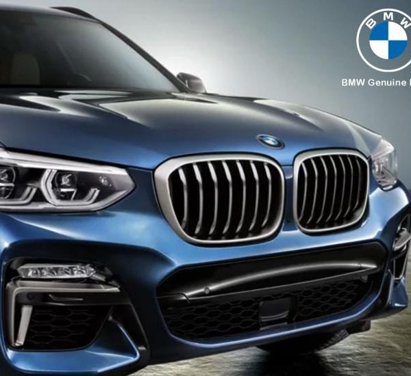 Original BMW G02 X4 Kidney Grill Cerium Grey M40i Gril SET KIRI KANAN