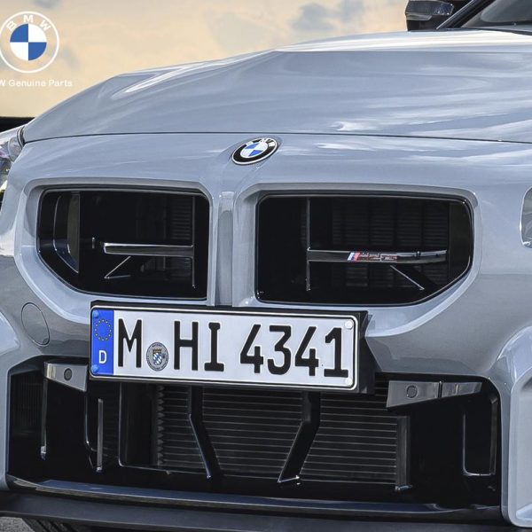 Original BMW G87 M2 CS Kidney Gril Grill Depan