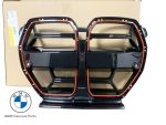 Original BMW G82 G83 M4 CSL Front Grill Gril Depan