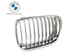 Original BMW E46 Pre-LCI 325i Chrome Kidney Grill KIRI 51138208489