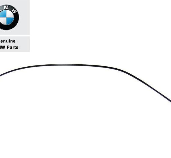 BMW E46 318i Moulding Trim Lis Keliling Body Pintu Jendela Black KANAN