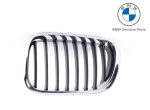 Original BMW E53 X5 Black Slats Kidney Grille Grill Depan KIRI 51138402645