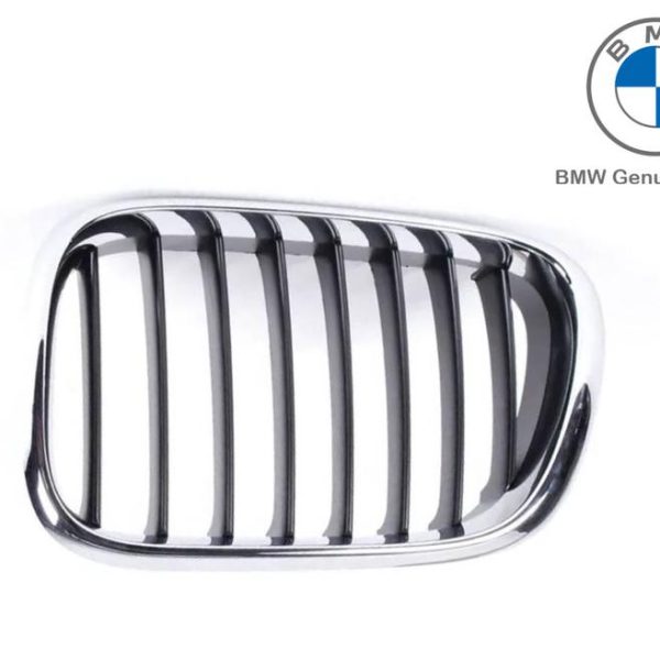 Original BMW E53 X5 Black Slats Kidney Grille Grill Depan KIRI 51138402645