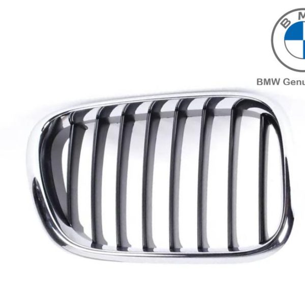 Original BMW E53 X5 Black Slats Kidney Grille Grill Depan KANAN