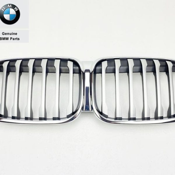 Original BMW F48 X1 LCI X-Line Kidney Grill X Line Gril Facelift
