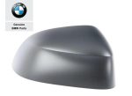 Original BMW G01 X3 G02 X4 G05 X5 G06 X6 G07 X7 Cover Spion KANAN