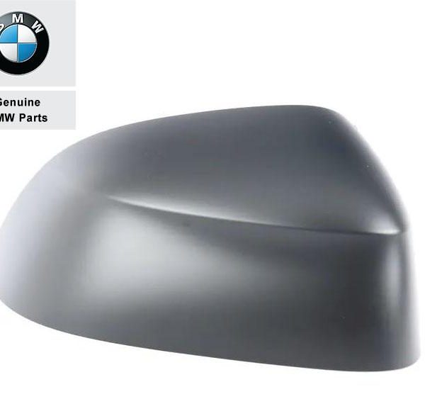 Original BMW G01 X3 G02 X4 G05 X5 G06 X6 G07 X7 Cover Spion KANAN