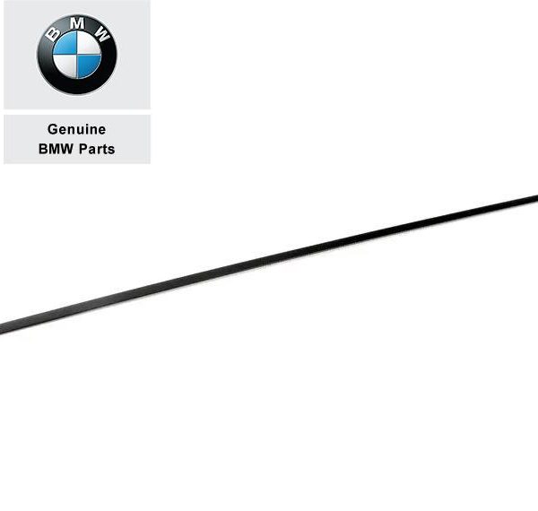 Original BMW E30 Lis Pelipit Luar Kaca Pintu Depan Hitam KIRI